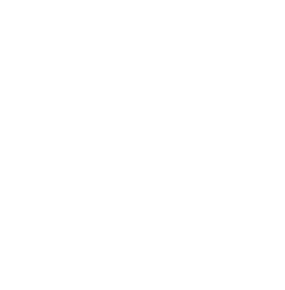 X icon